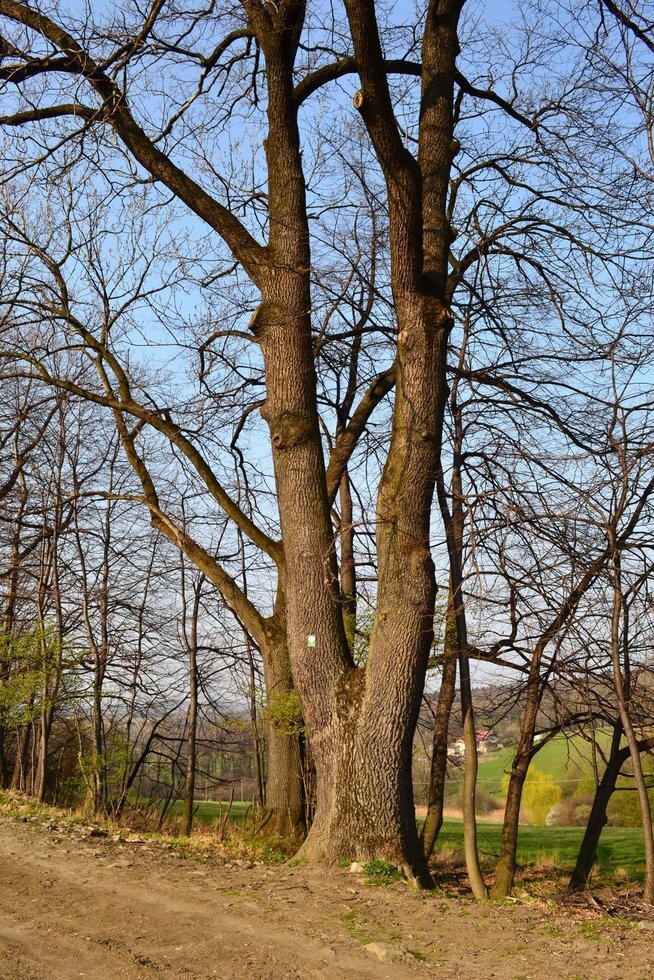 Dsc 00901000
