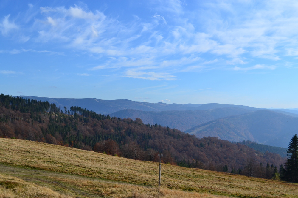 Dsc 16011000