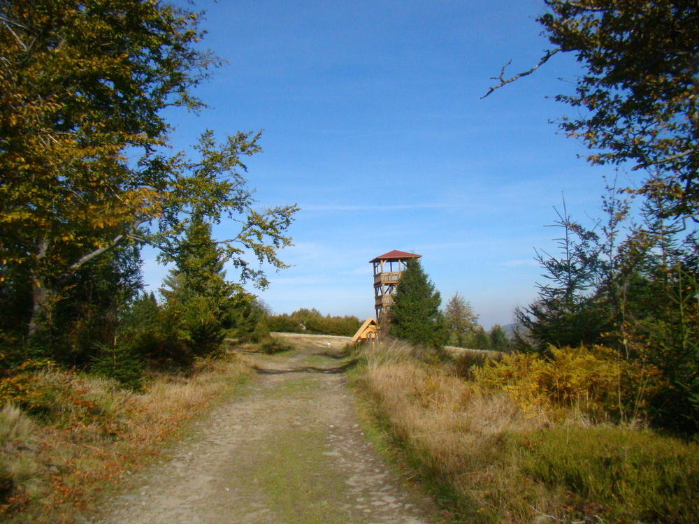 Dsc006151000