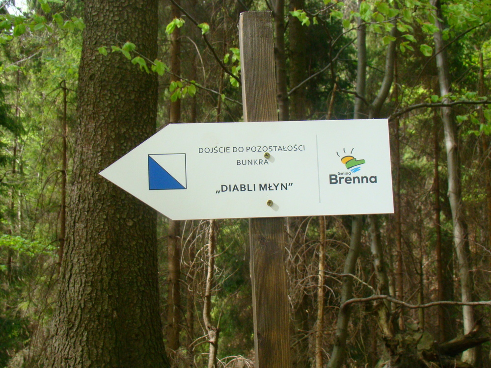 Dsc010561000