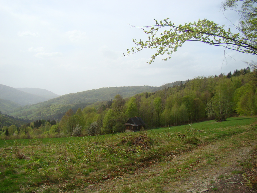 Dsc010601000