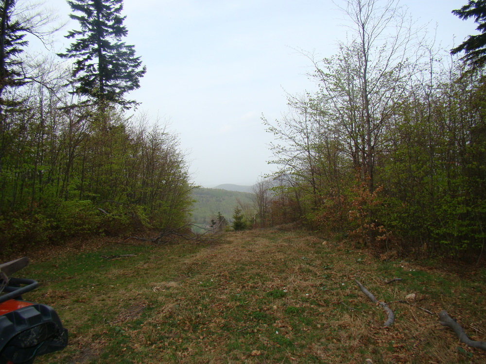 Dsc010731000