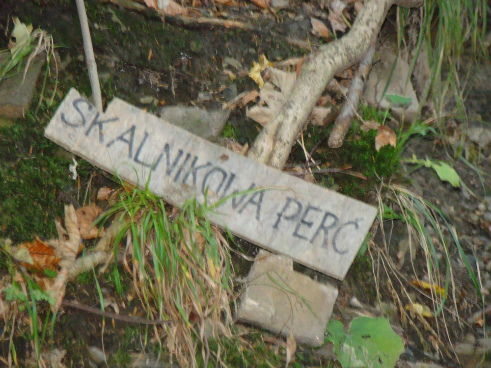 Dsc093861000