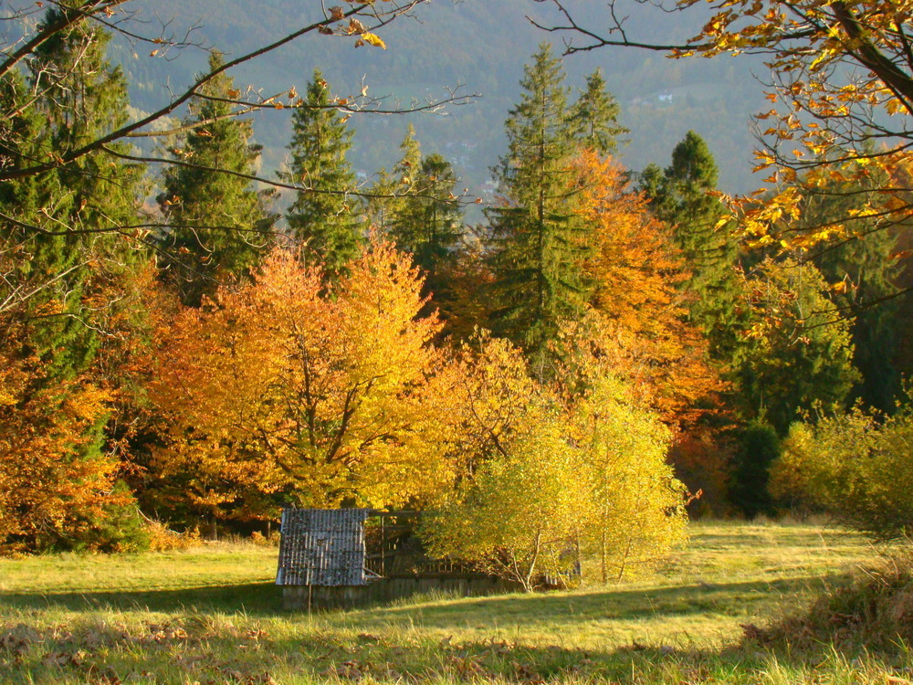 Dsc096771000