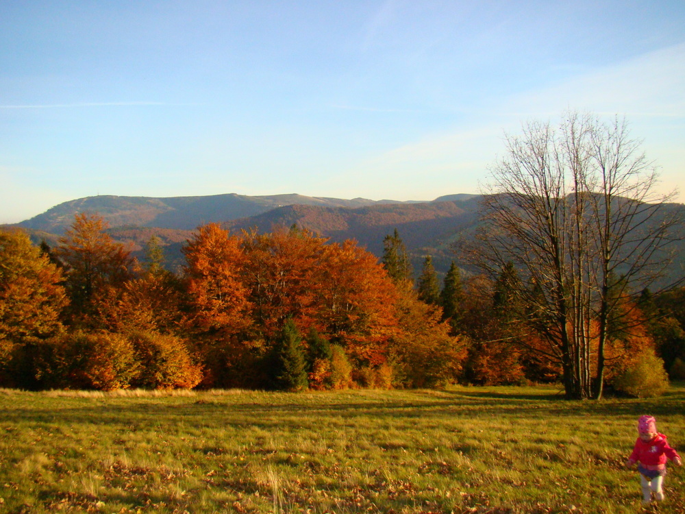 Dsc096841000