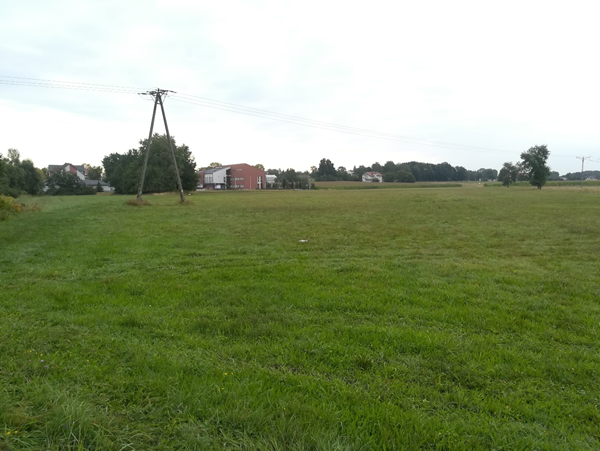Dzialka