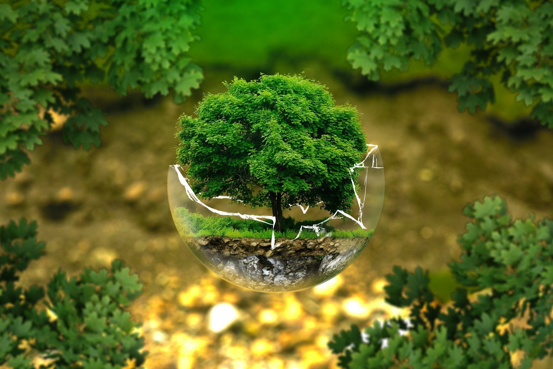 Environmental protection 326923 1920 4