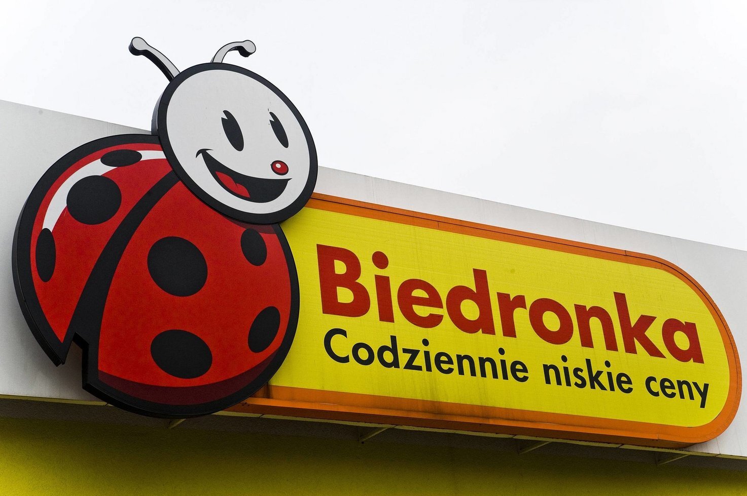 F8213dc499bc5d848c058e7bbcea