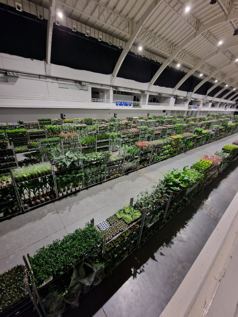 Festiwal roslin w katowicach