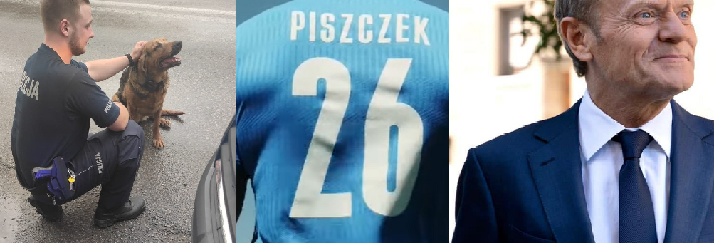 Flesz 01