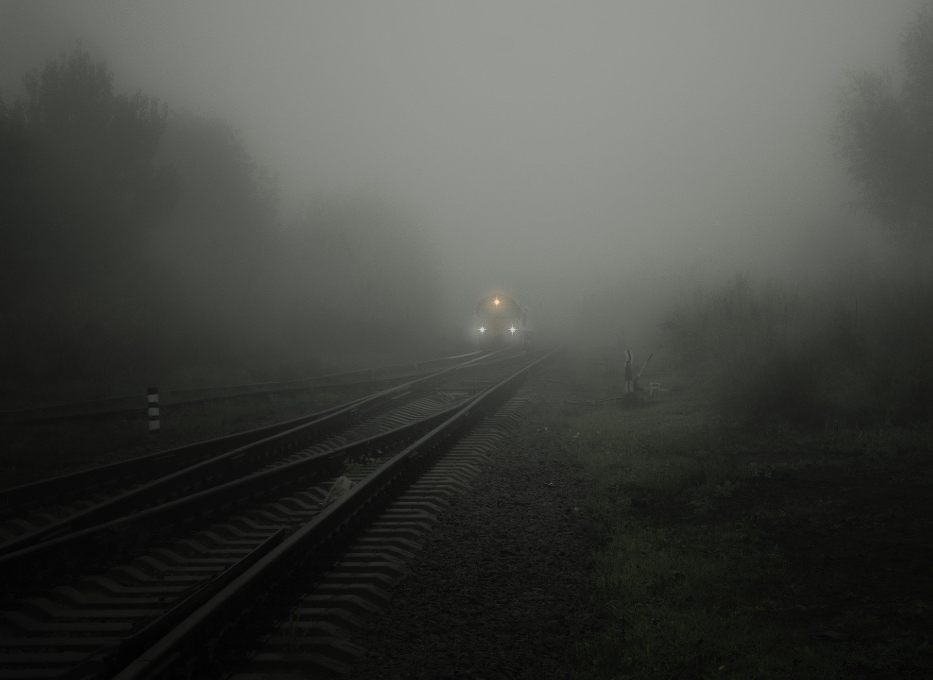 Fog 1984057 1920 1