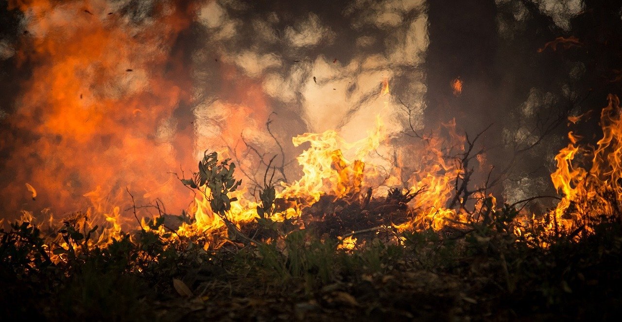 Forest fire 2268729 1280 1