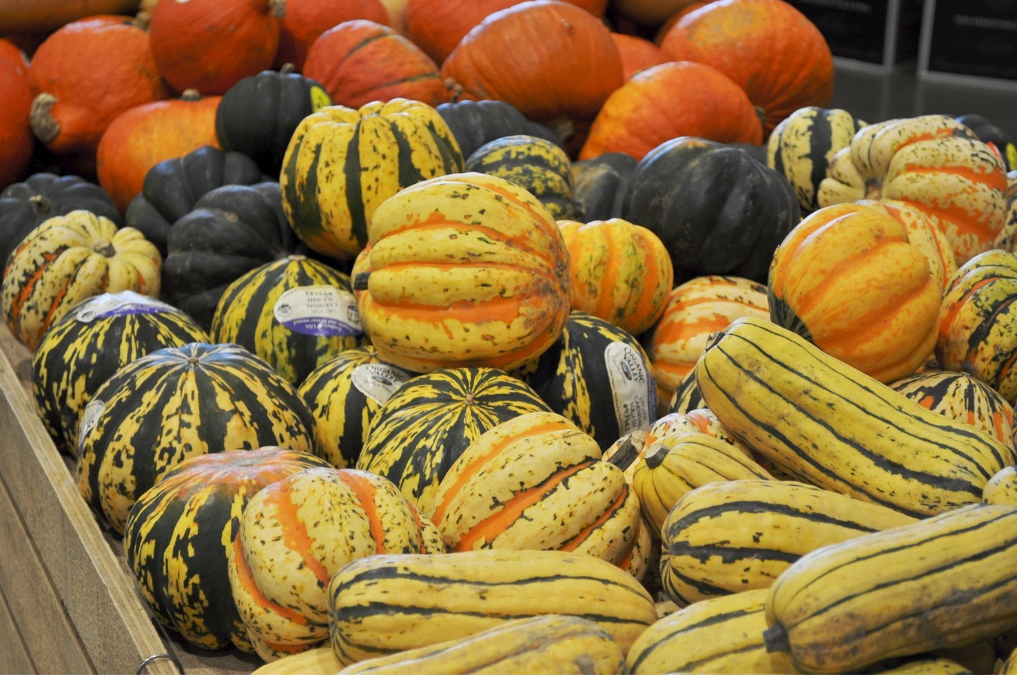Gourds 4153721 1920
