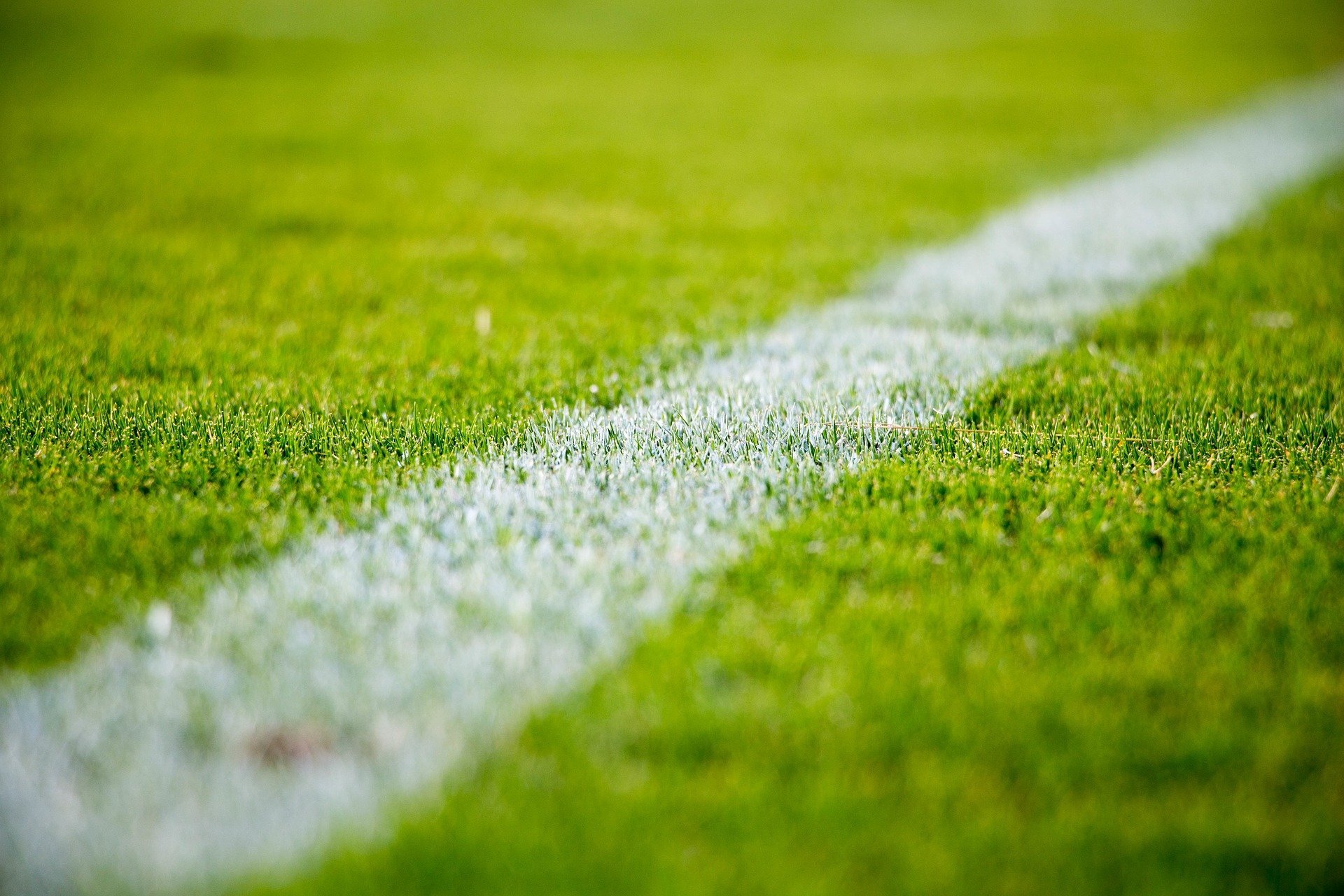 Grass 2616911 1920