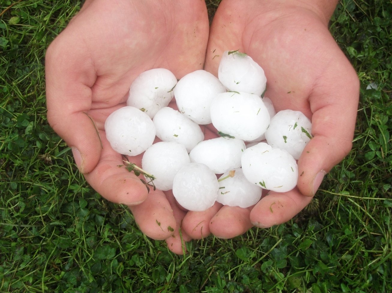 Hail 1914266 1920