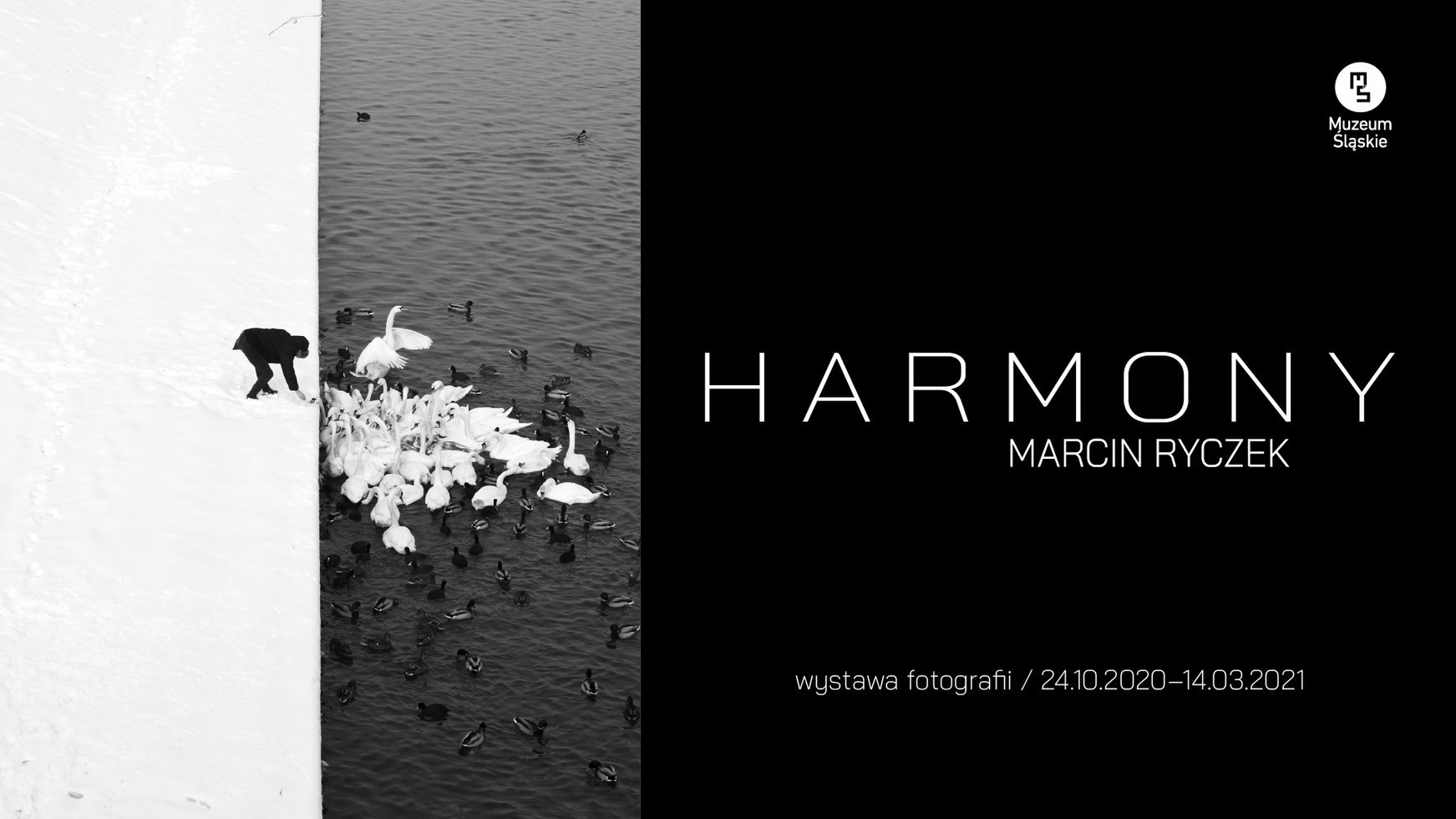 Harmony ekran