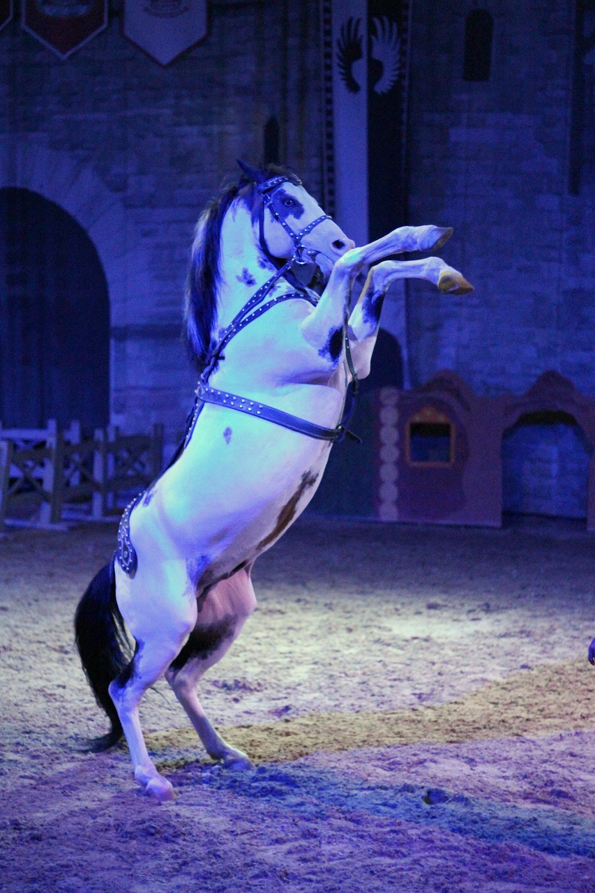Horse 4405023 1280