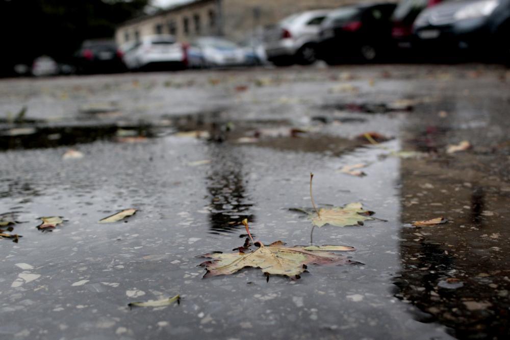 Jesien na drogach 1 0