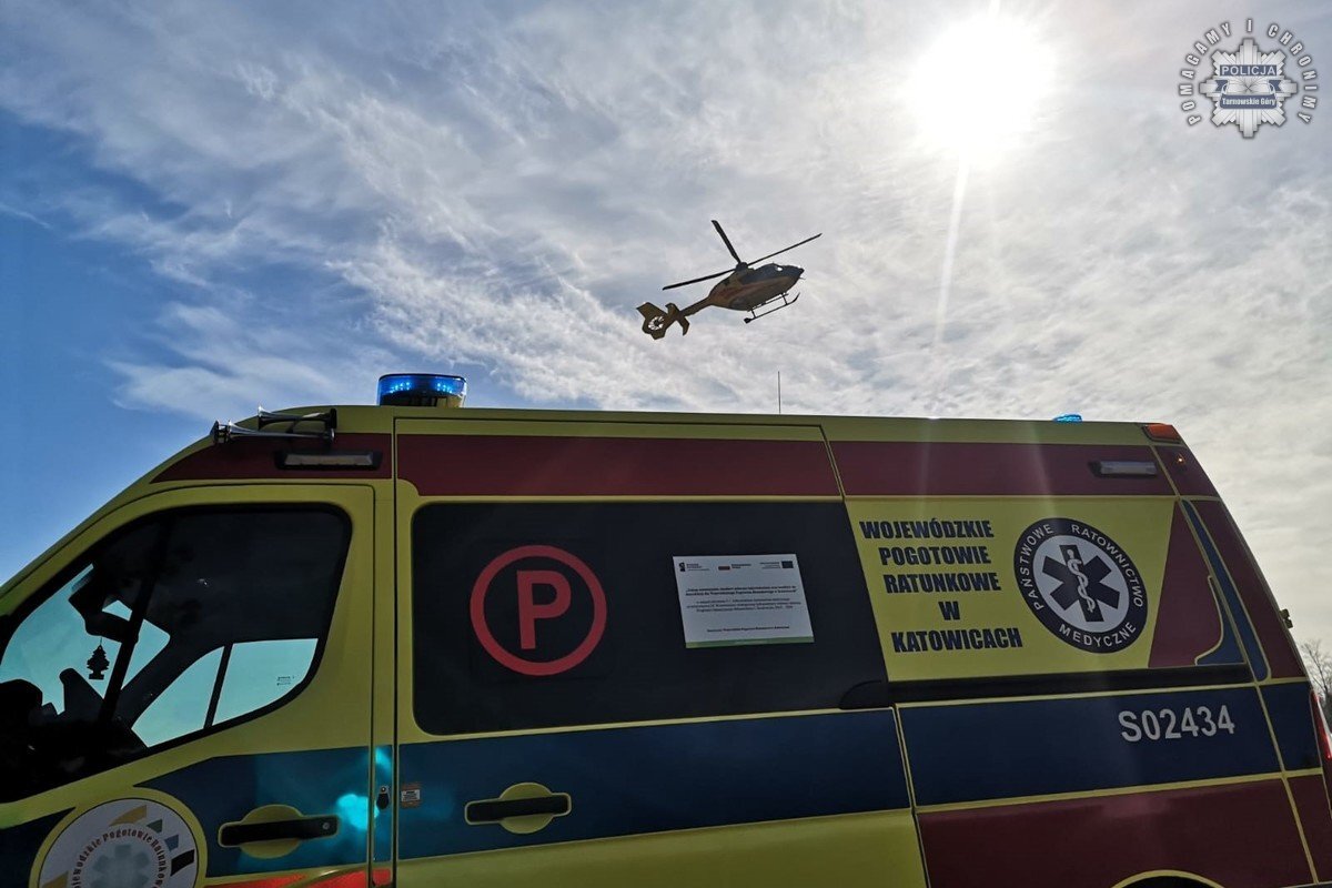 Konar przygniotl chlopca