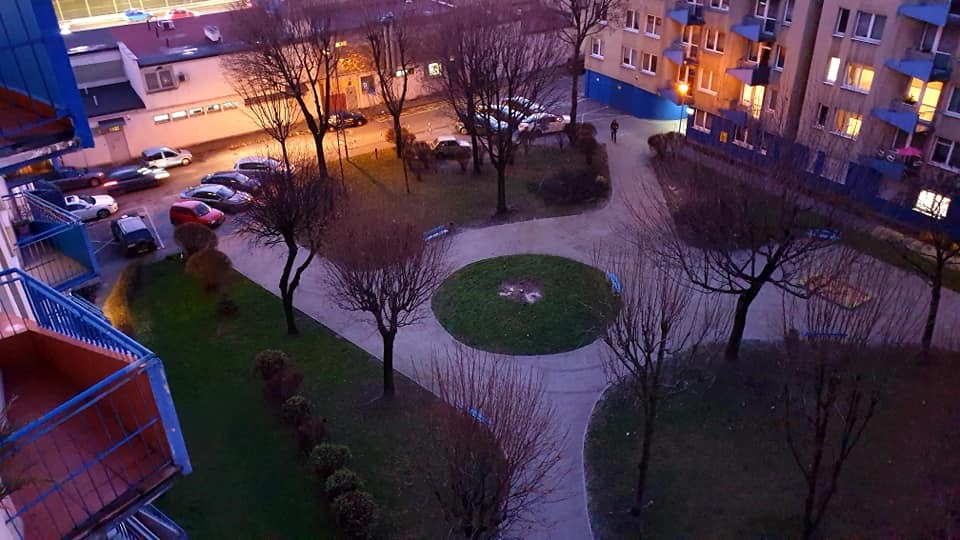 Koszutka
