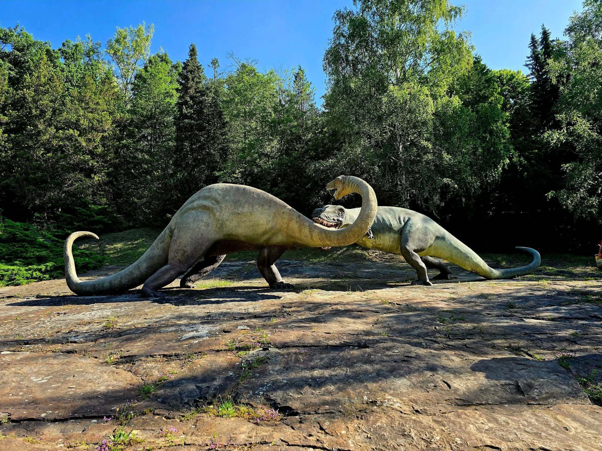 Kotlina dinozaurow zoo chorzow1