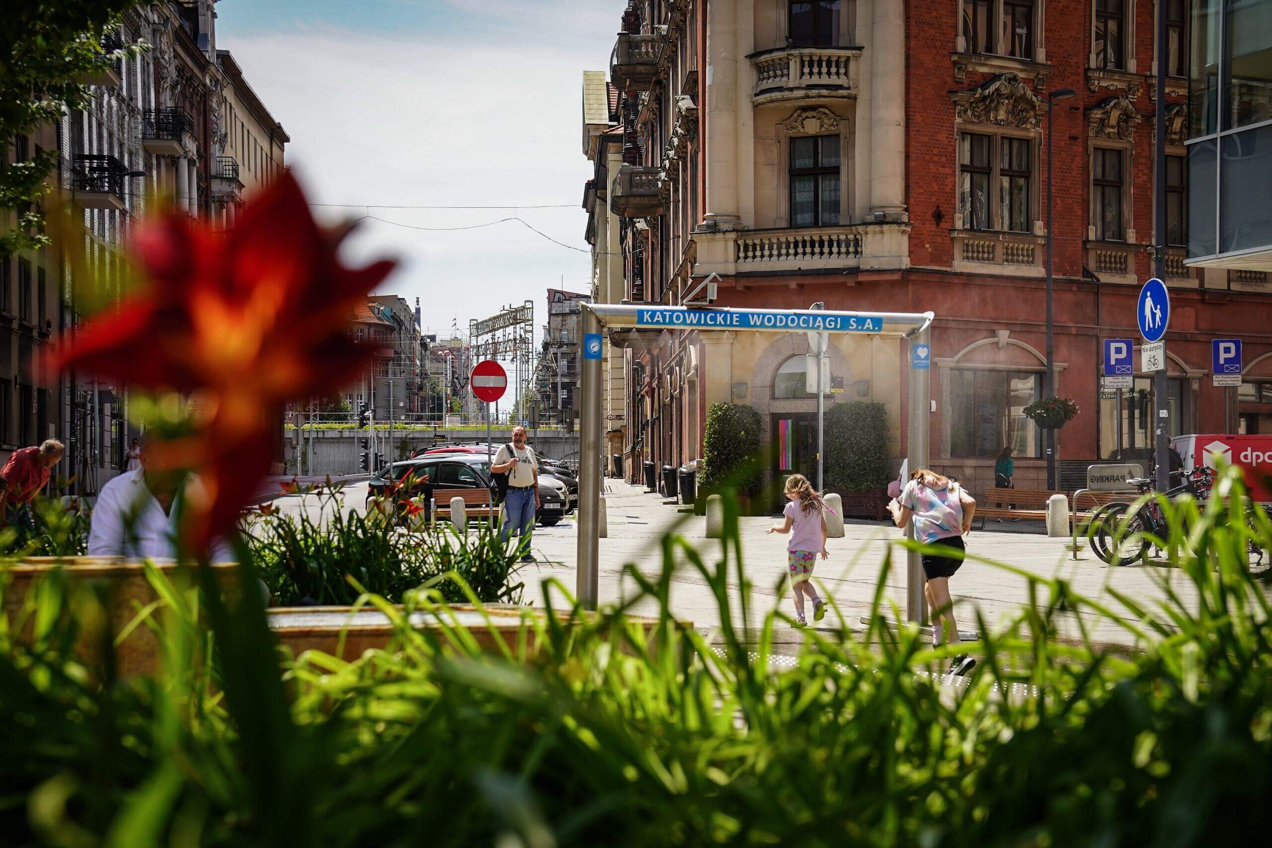 Kurtyny wodne w katowicach