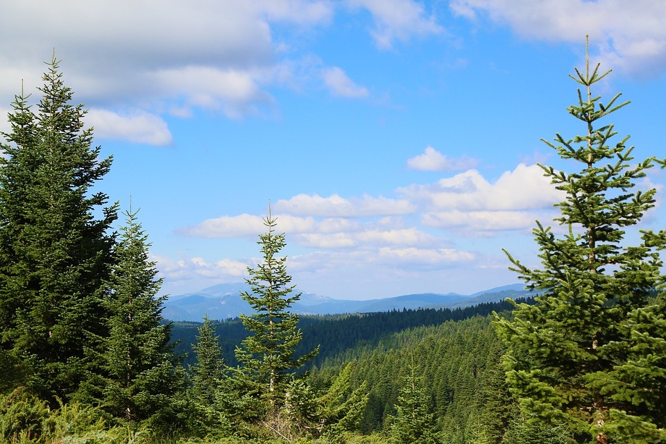Landscape 3606989 960 720