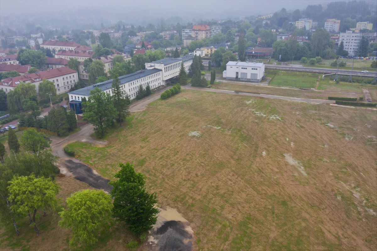 Lipa bielsko