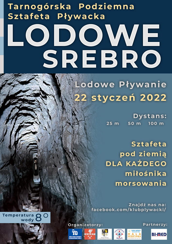 Lodowe srebro plakat