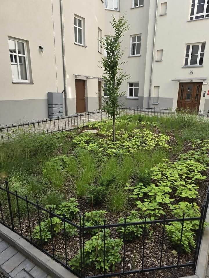 Mieszkana w katowicach wynajem