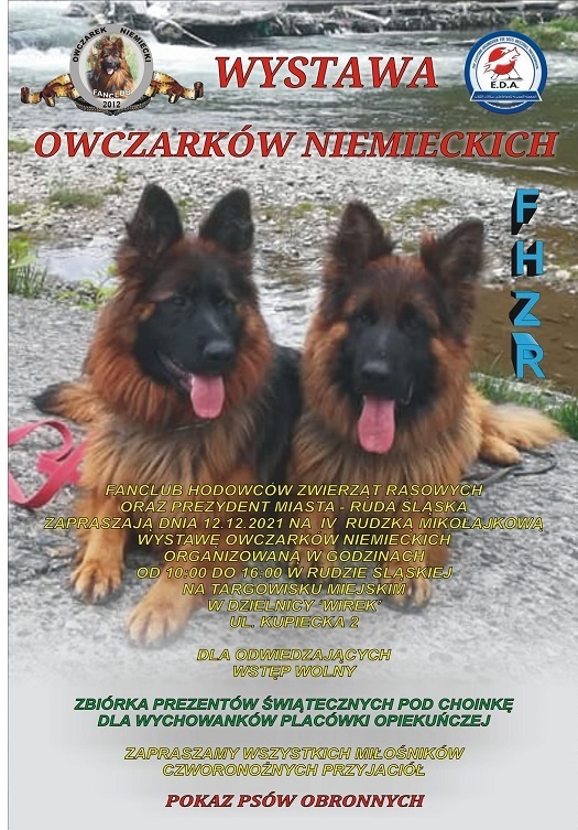 Mikolajkowa wystawa psow 01