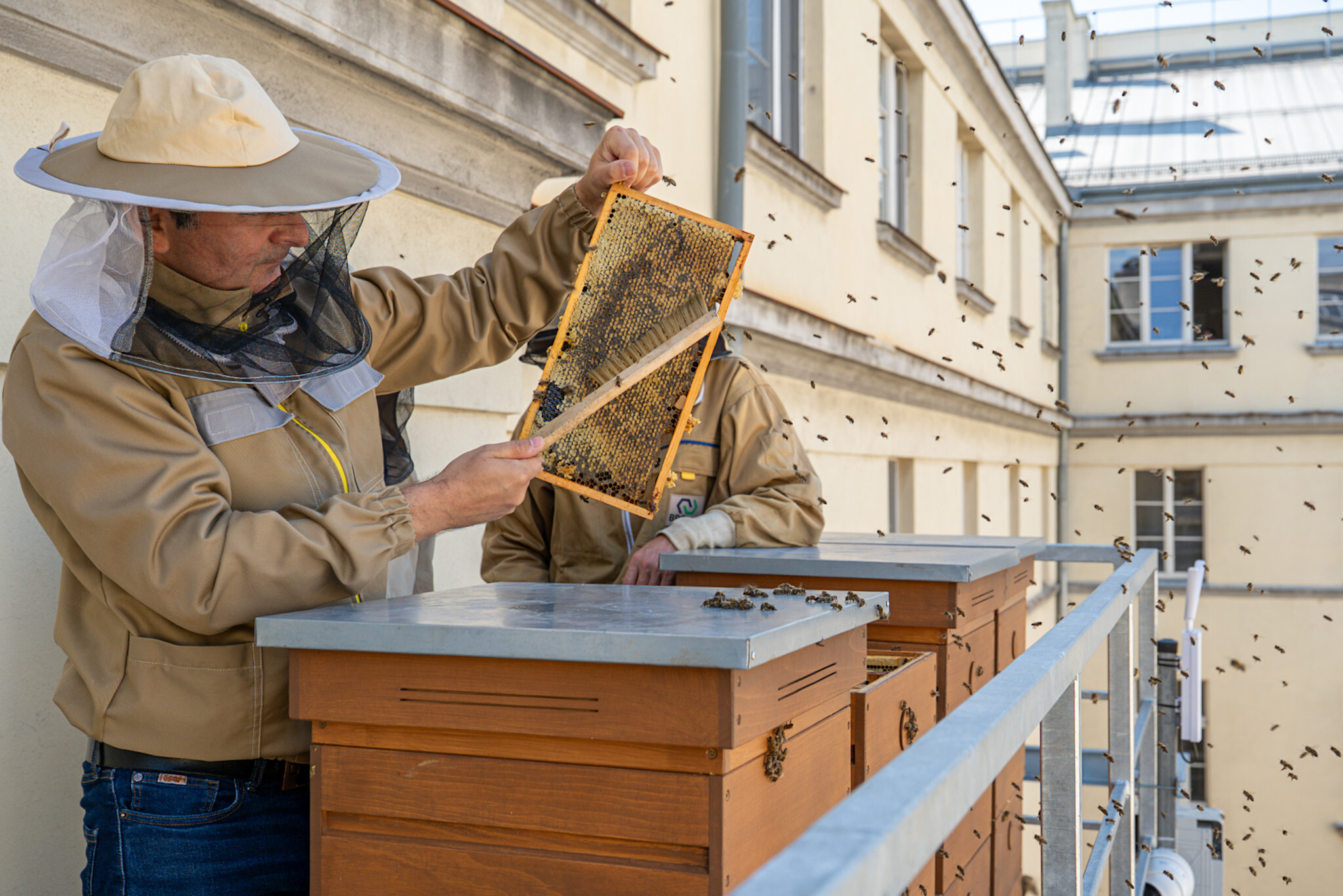 Miodobranie slaski urzad wojewodzki