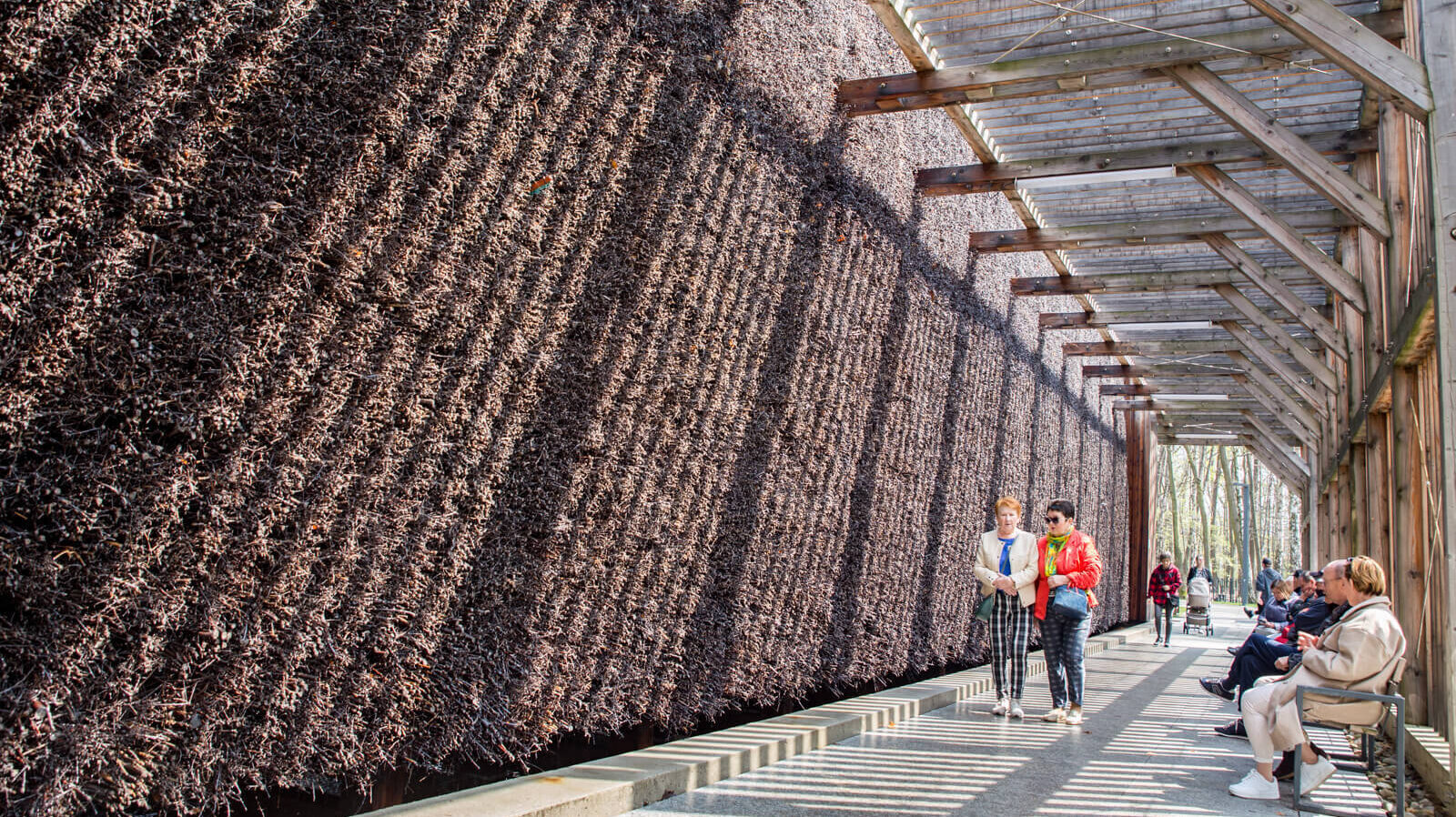 Modernizacje w parku Zadole