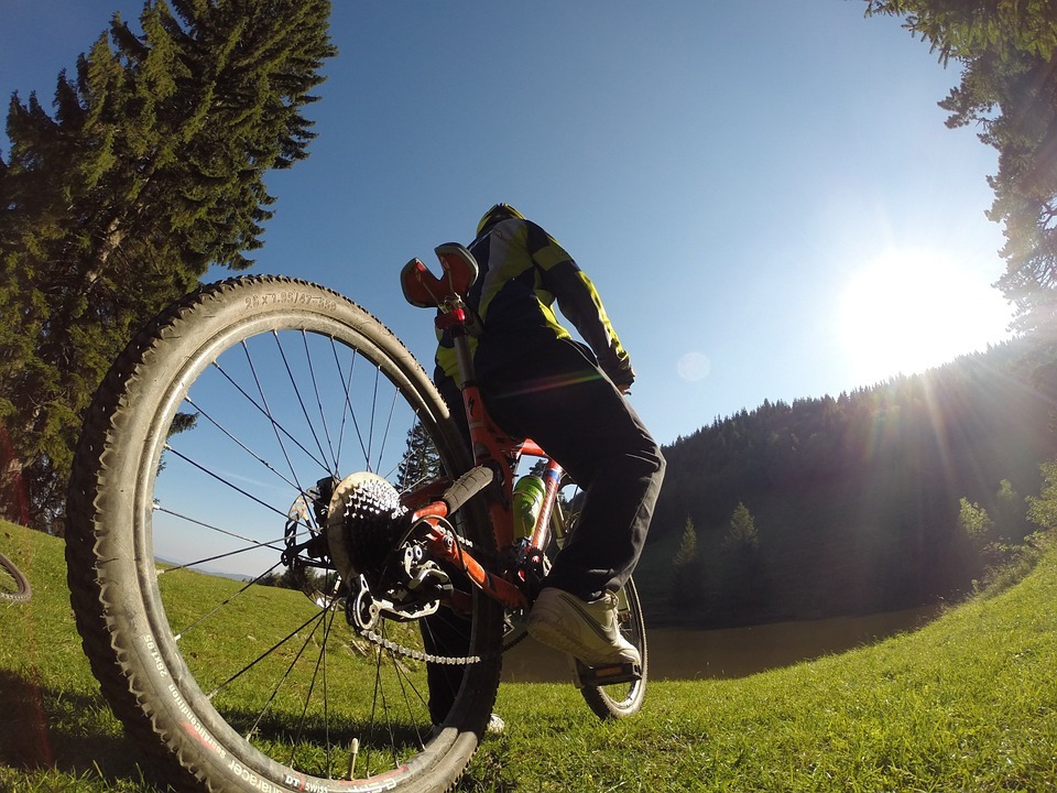 Mtb