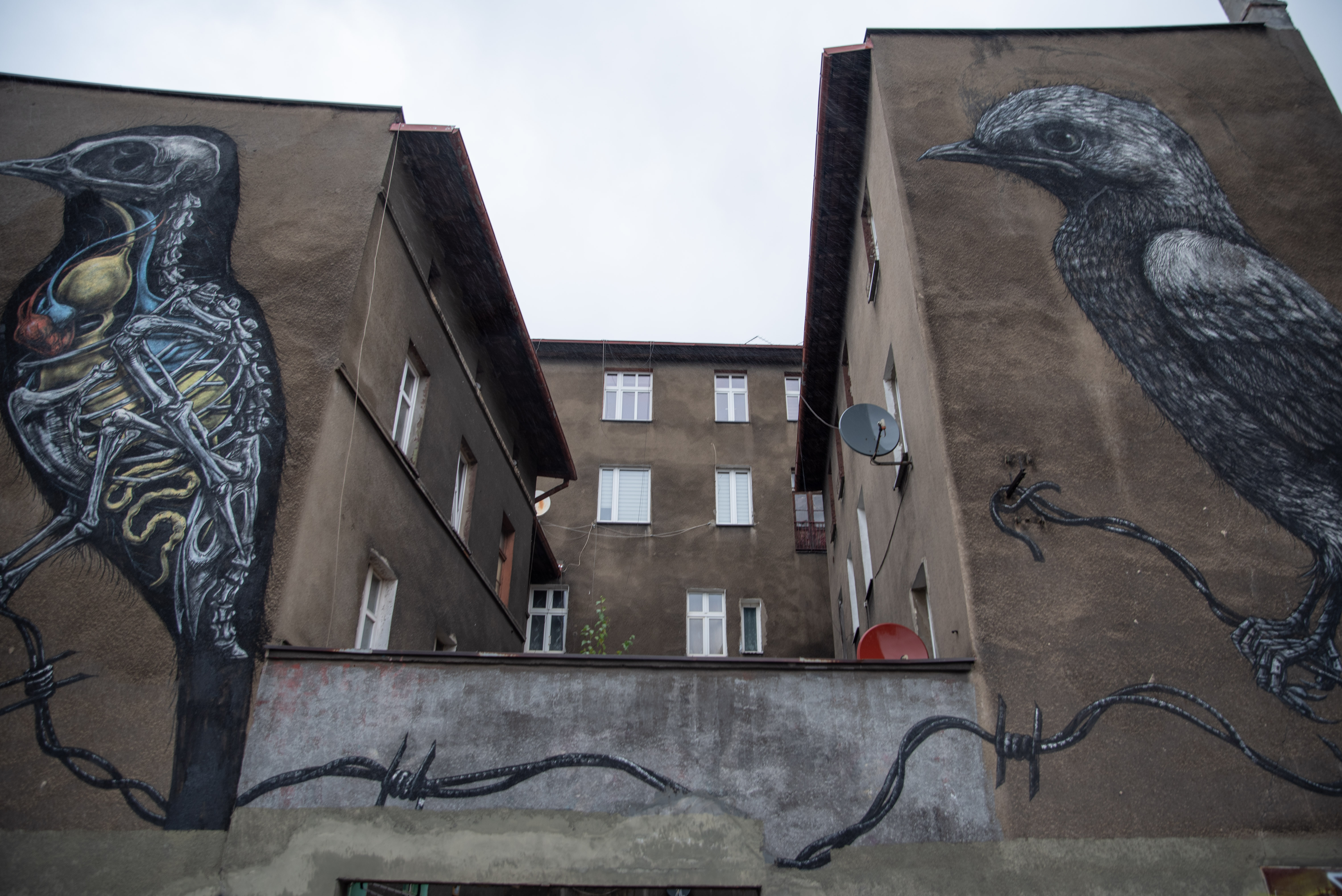 Murale przy tylnej mariackiej