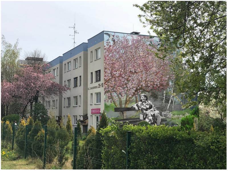 Muraltychy