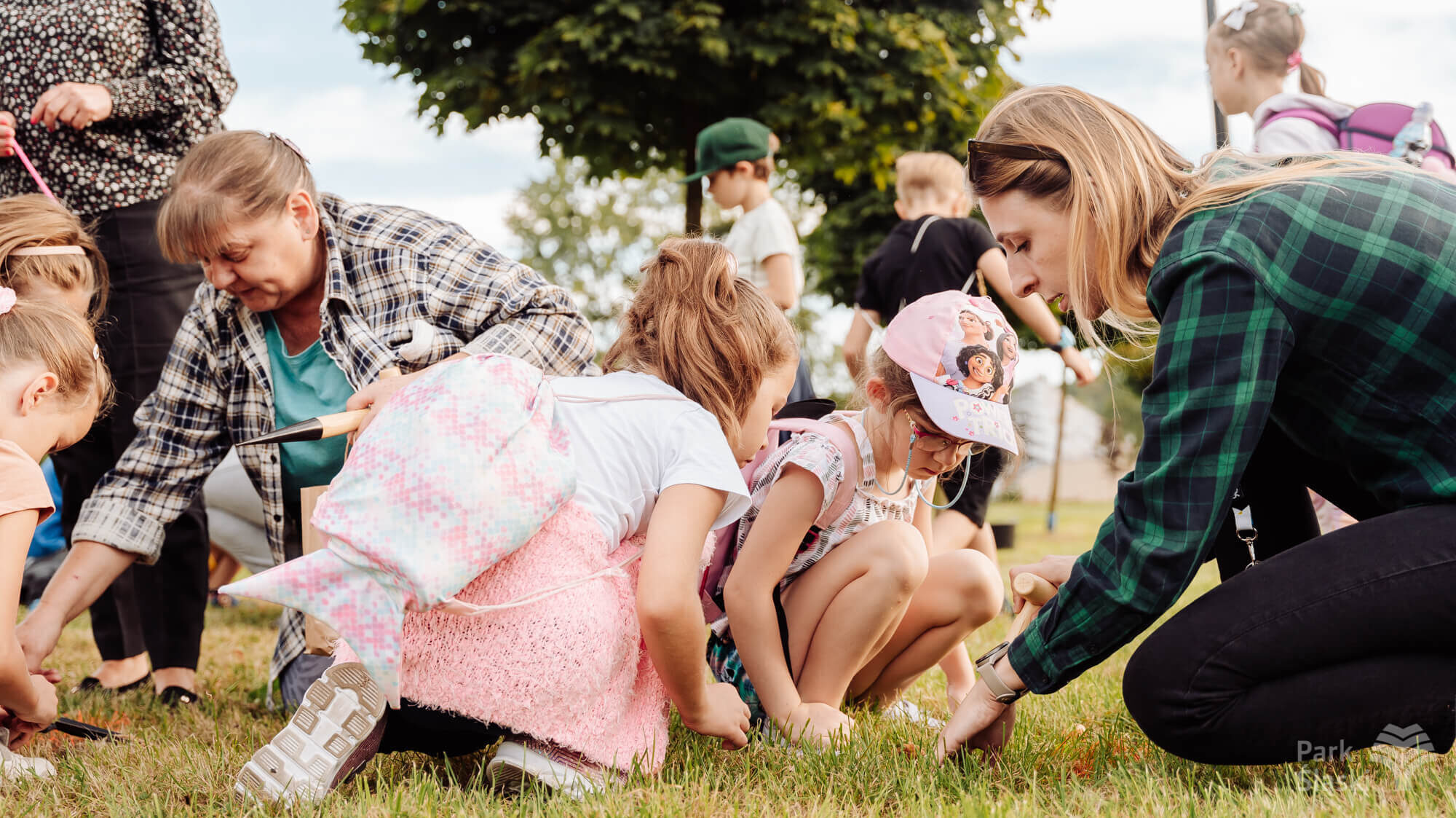 Narcyzy w parku slaskim