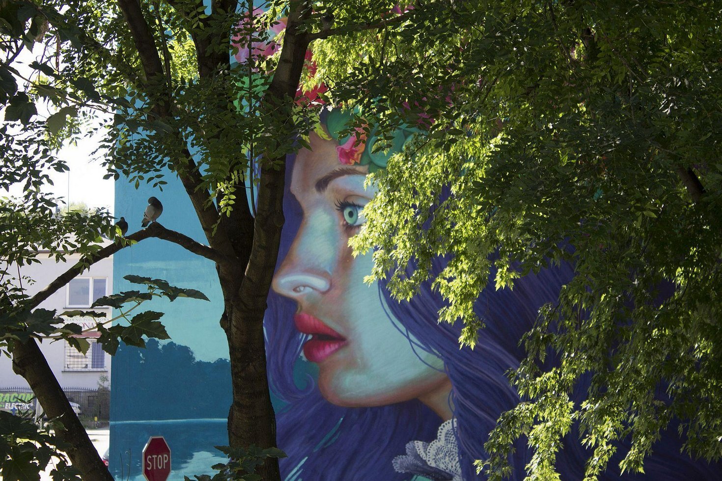 Natalia rak noc swietojanska fot jlabadz original