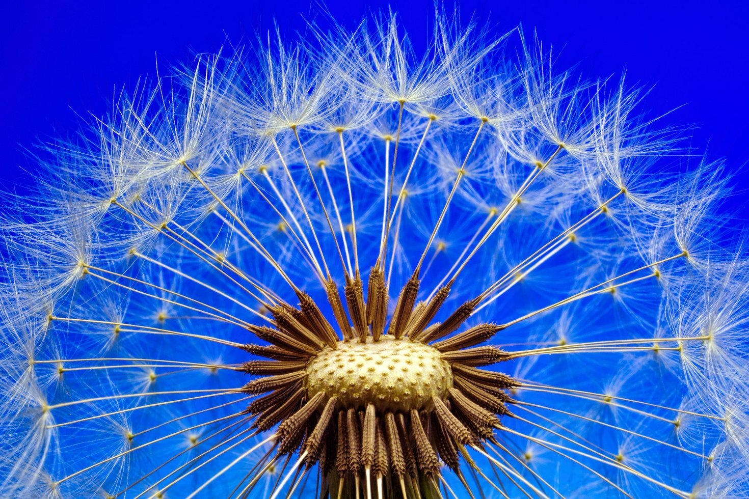 Nature 3092555 1920