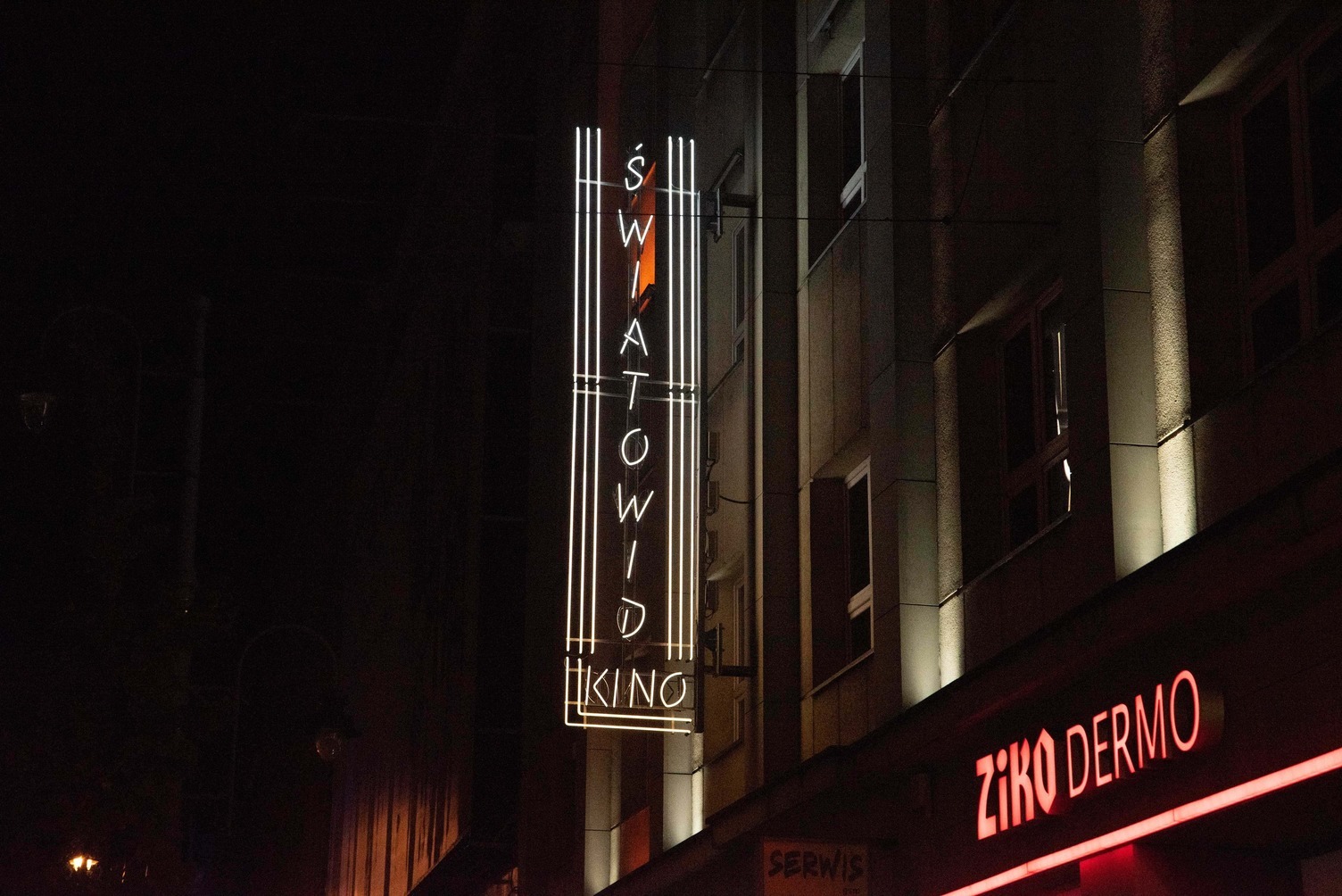 Neon kino światowid 2023