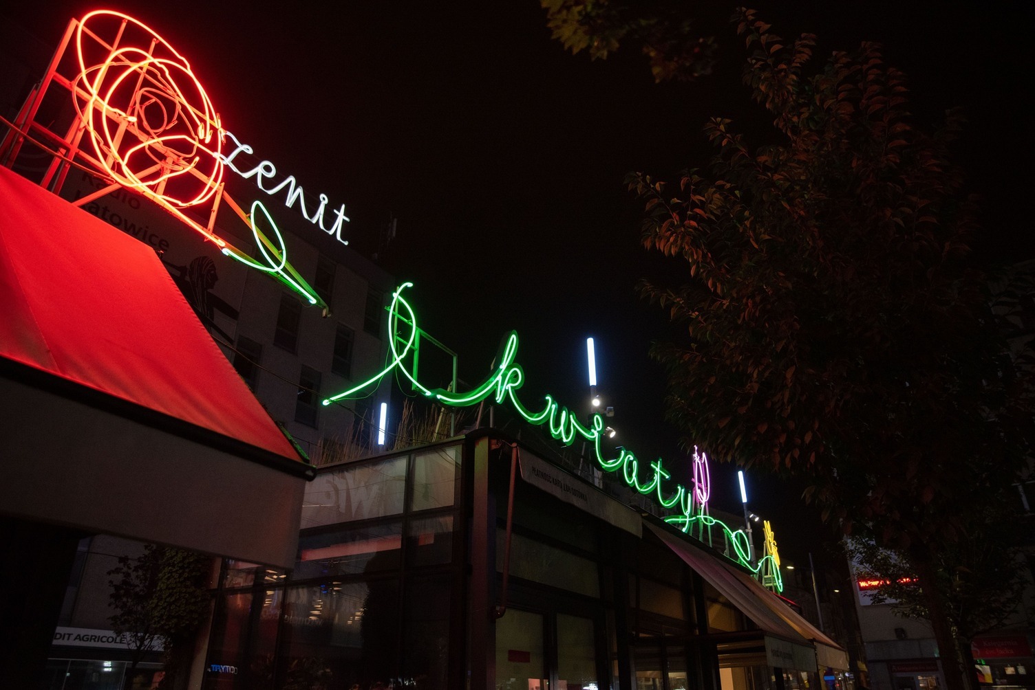 Neon kwiaciarnia na rynku katowice 2023