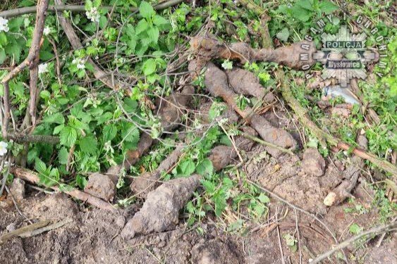 Niewybuchy w myslowicach