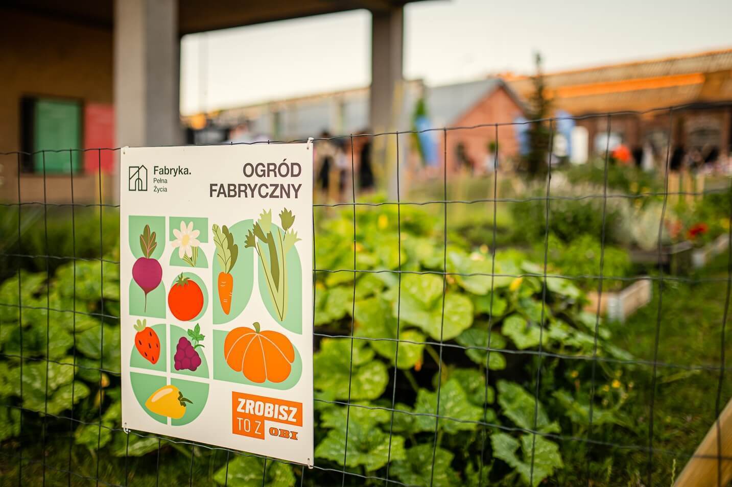 Ogród fabryczny stworzony w Dąbrowie Górniczej na terenie Fabryki Pełnej Życia