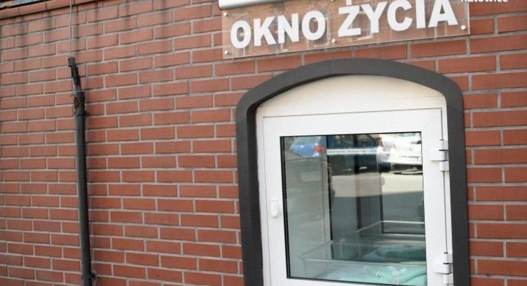 Oknozycia 01
