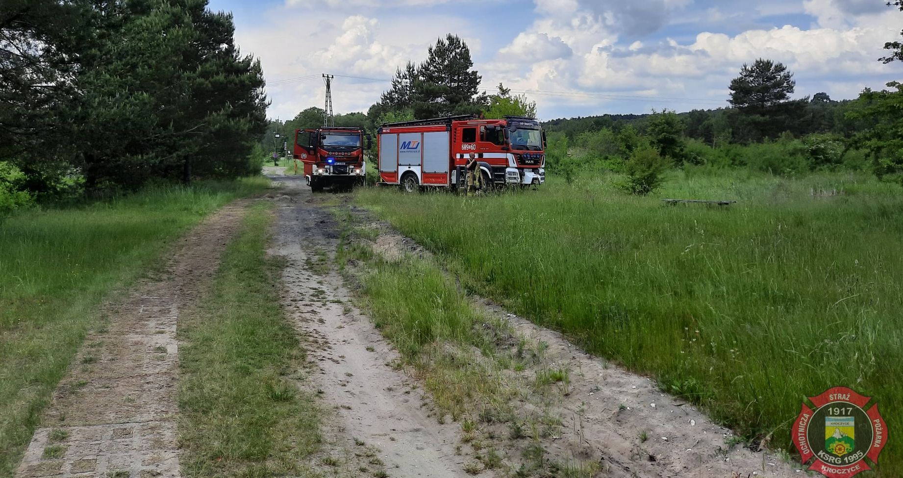 Osp kroczyce topielec