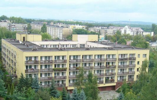 P1e63t0lvm1qfakc1oot134h6qk3