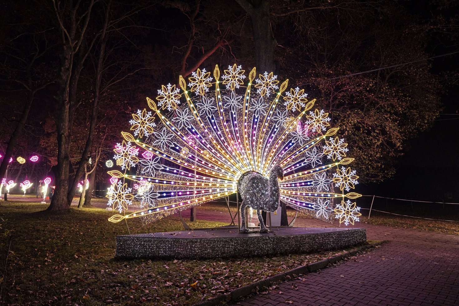 Park miliona swiatel zabrze 2022 fot Pawel Ja Nic Janicki 164 scaled