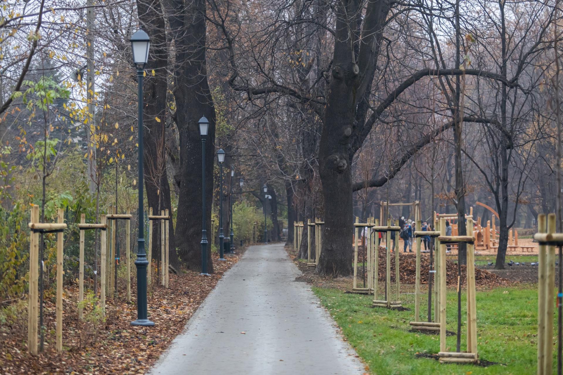 rewitalizacja Parku Włókniarzy
