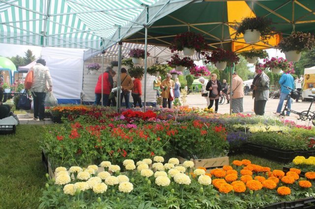 Park slaski