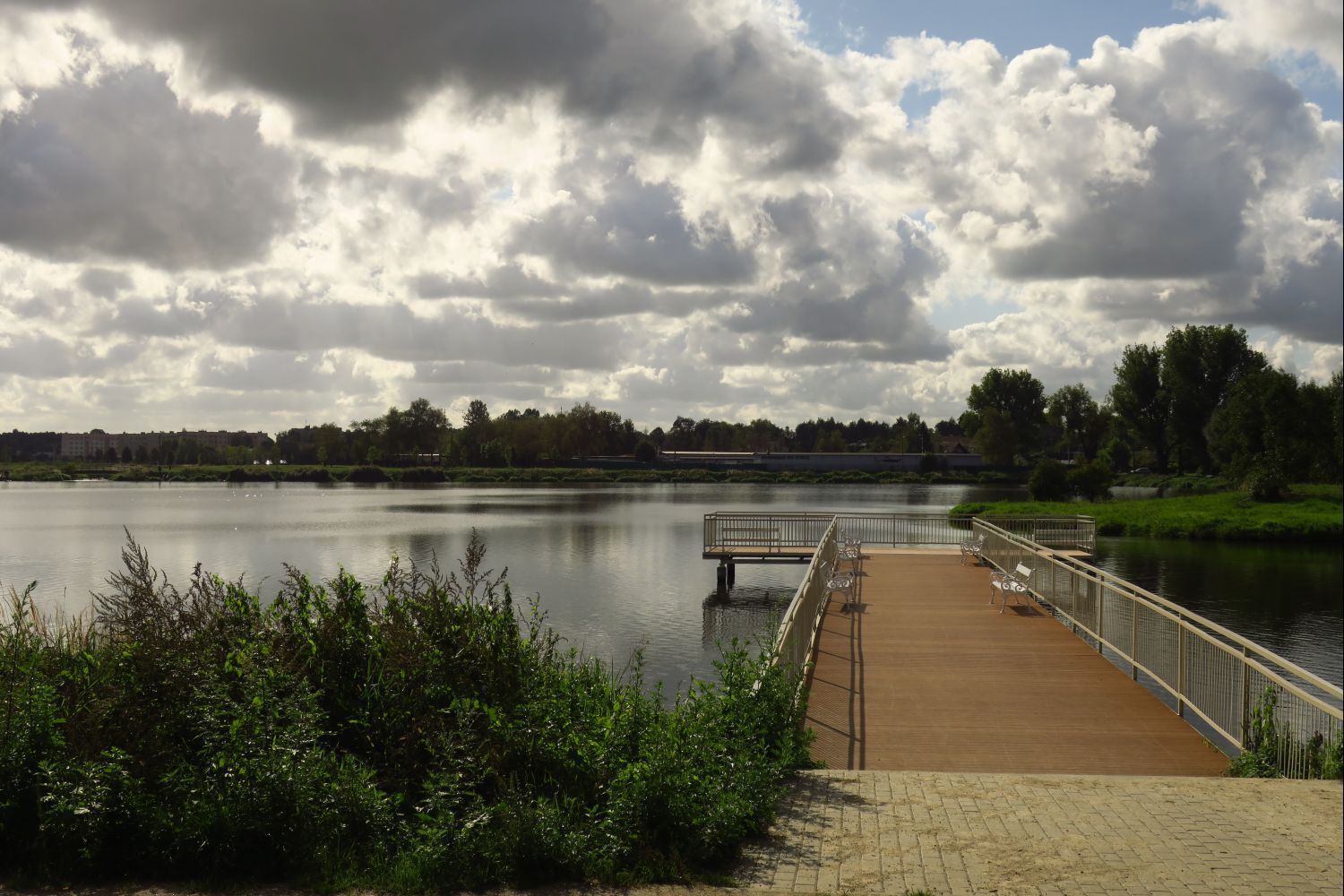 Paruszowiec staw fot L Tyl